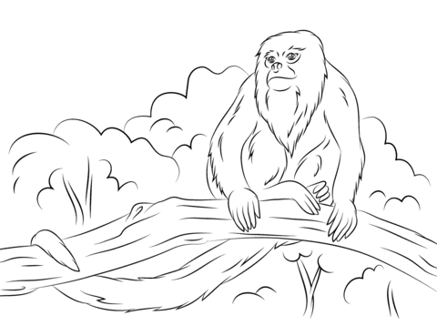 Howler Monkey Sitting On A Tree Coloring Page